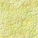 Textures 552